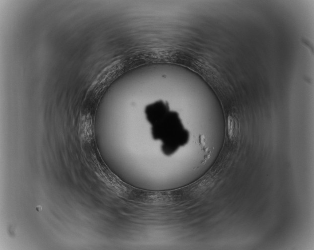 X0000100871107200806271106