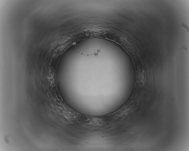 X0000100871109200806271106