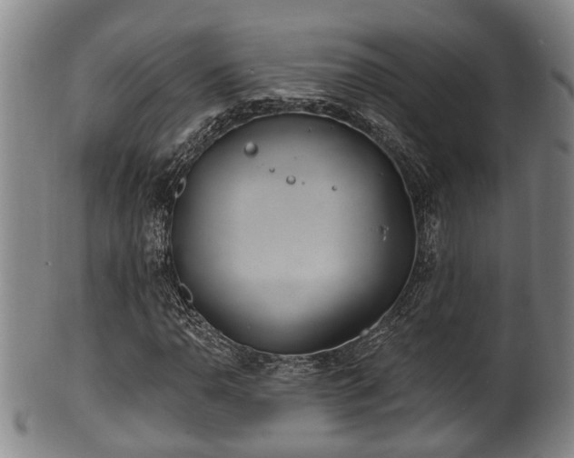 X0000100871110200806271106