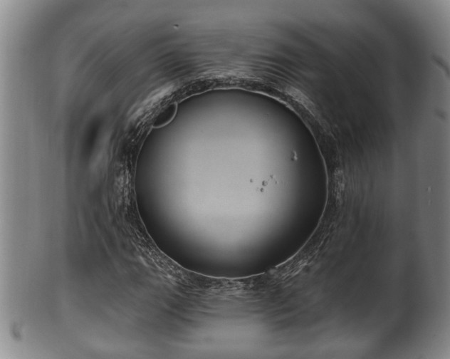 X0000100871111200806271106