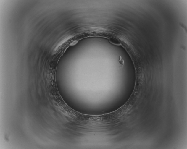 X0000100871112200806271106