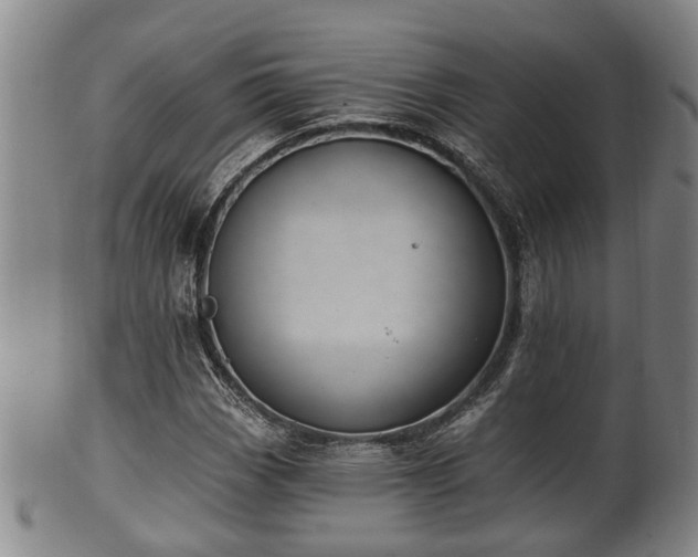 X0000100871113200806271106