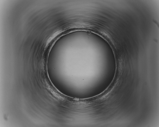 X0000100871114200806271106