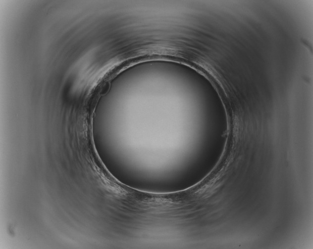 X0000100871115200806271106