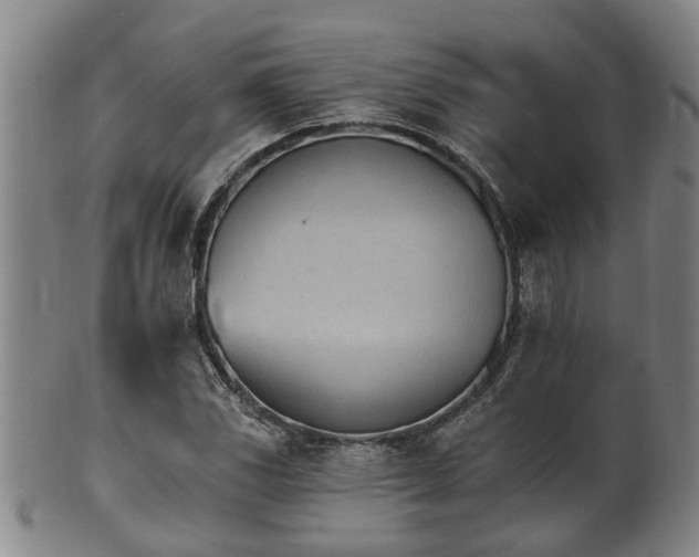 X0000100871117200806271106