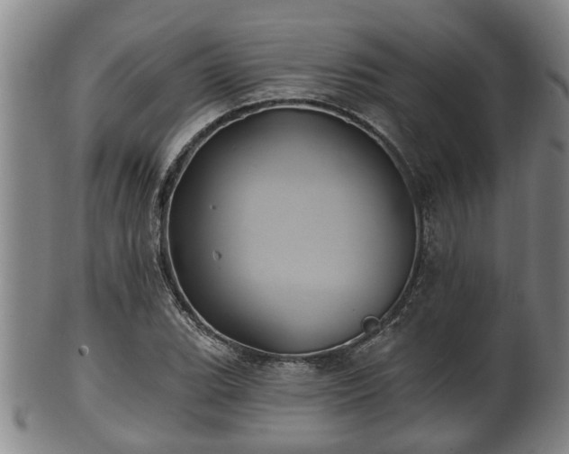 X0000100871119200806271106