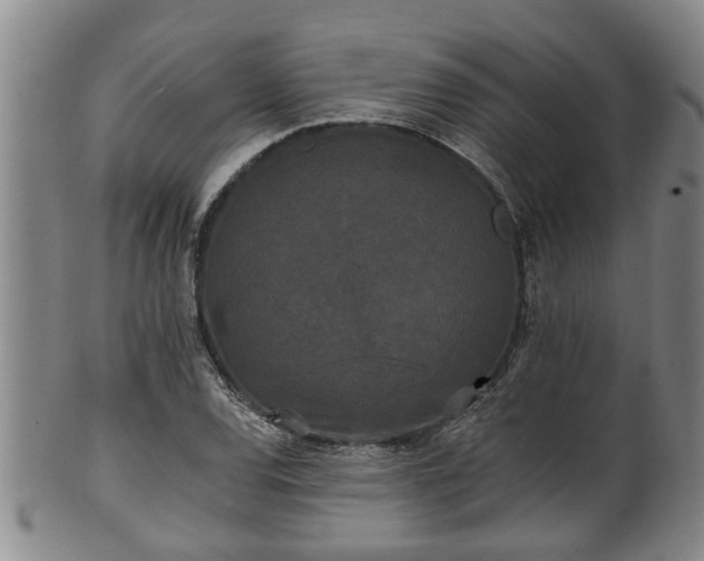 X0000100871120200806271106