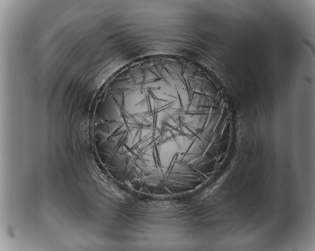 X0000100871121200806271106