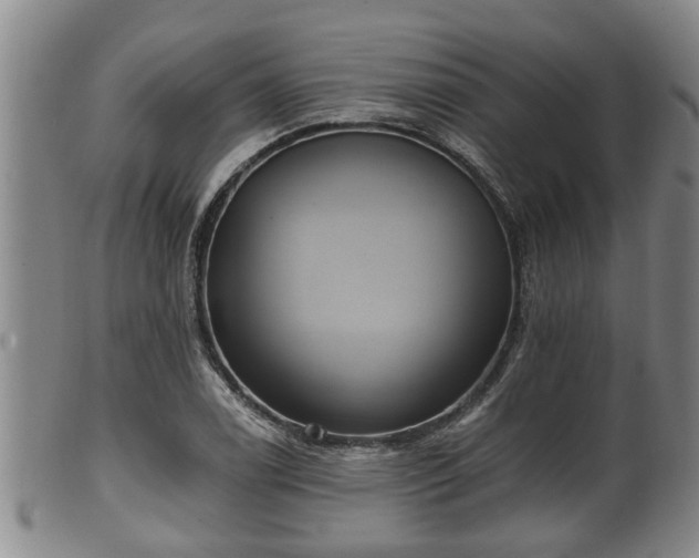 X0000100871122200806271106