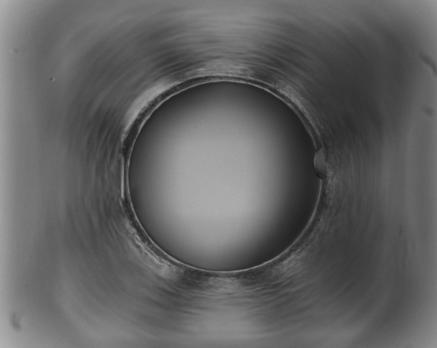 X0000100871123200806271106