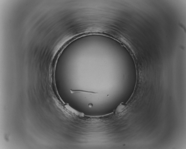 X0000100871124200806271106