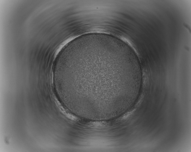 X0000100871125200806271106