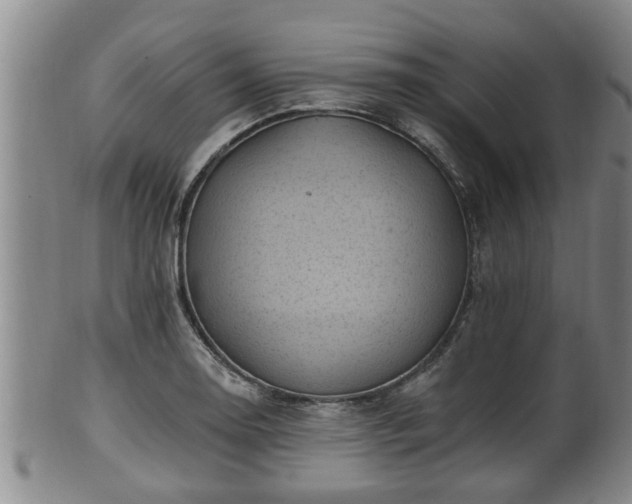 X0000100871130200806271106