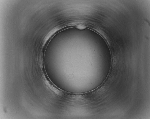 X0000100871131200806271106