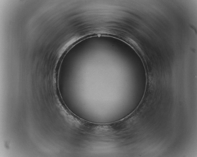 X0000100871133200806271106