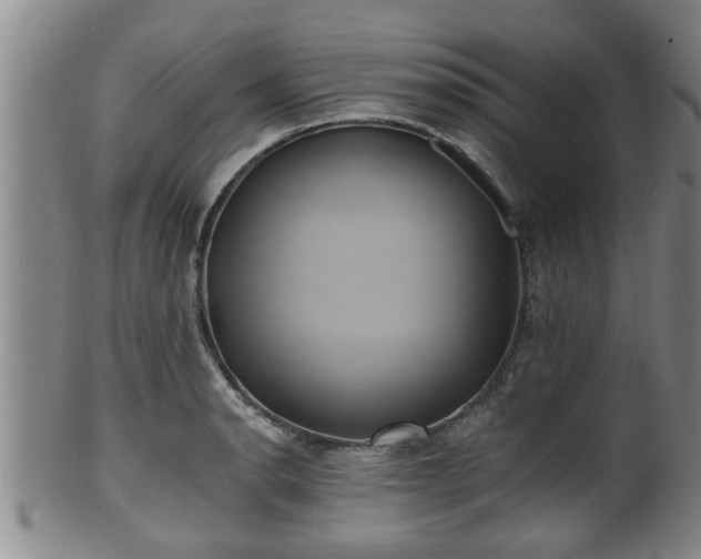 X0000100871134200806271106