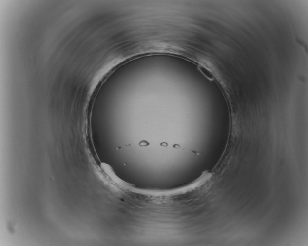 X0000100871136200806271106