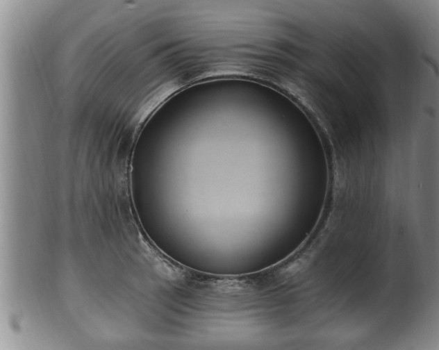 X0000100871137200806271106