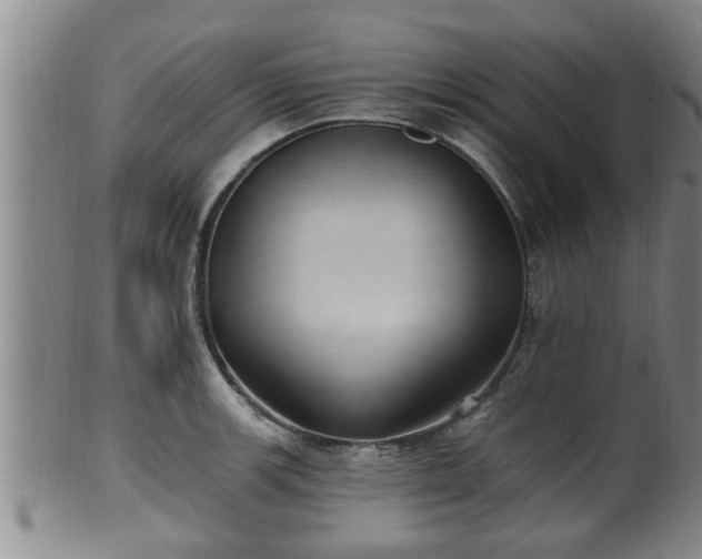 X0000100871139200806271106