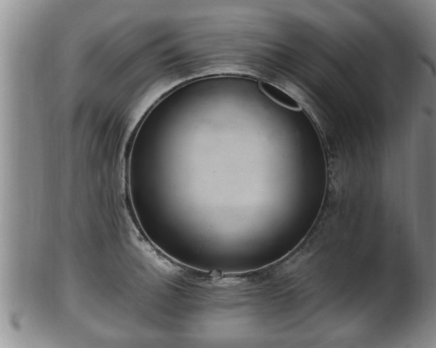 X0000100871140200806271106