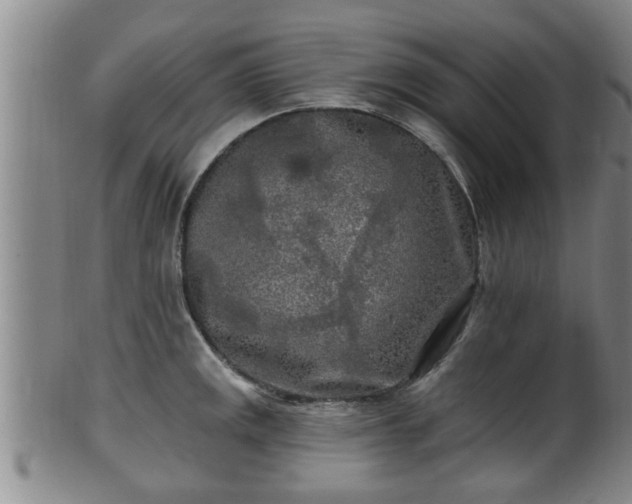 X0000100871141200806271106