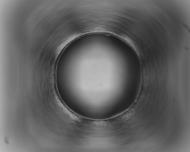 X0000100871142200806271106