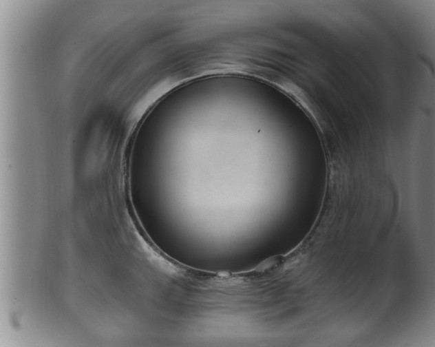 X0000100871143200806271106