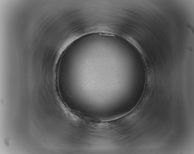 X0000100871144200806271106