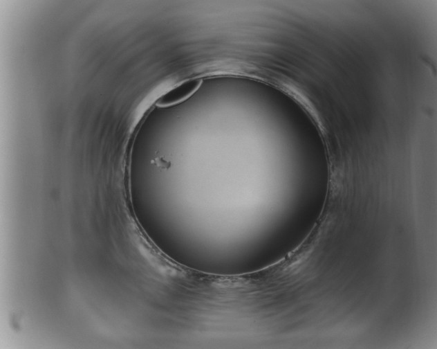 X0000100871146200806271107