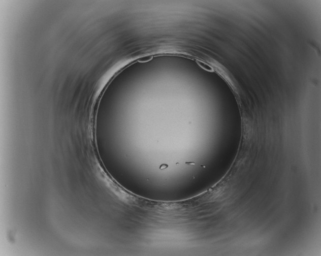 X0000100871148200806271107