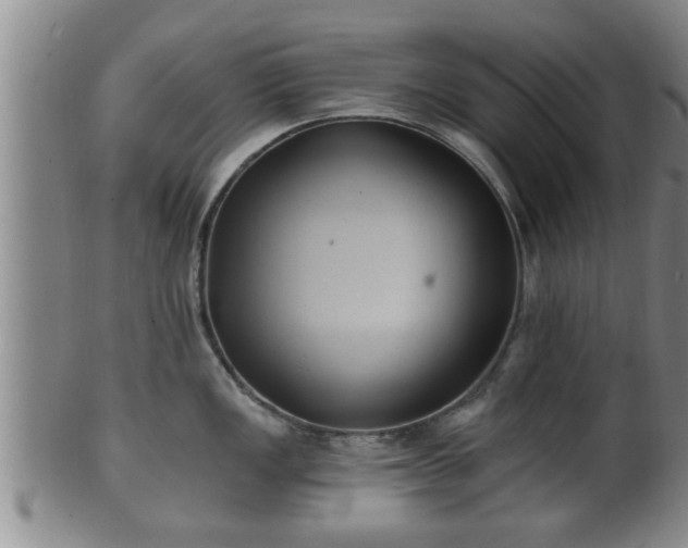 X0000100871149200806271107