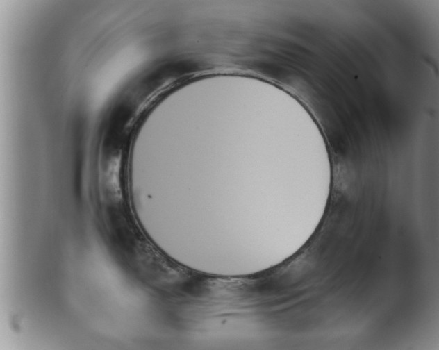 X0000100871150200806271107