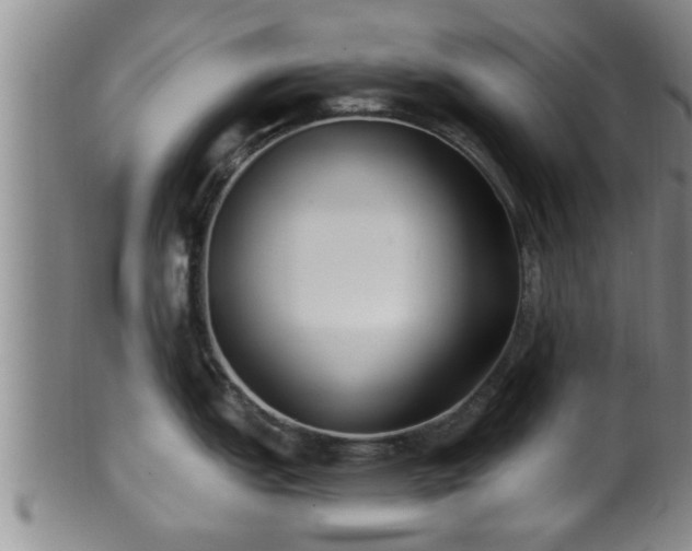 X0000100871151200806271107