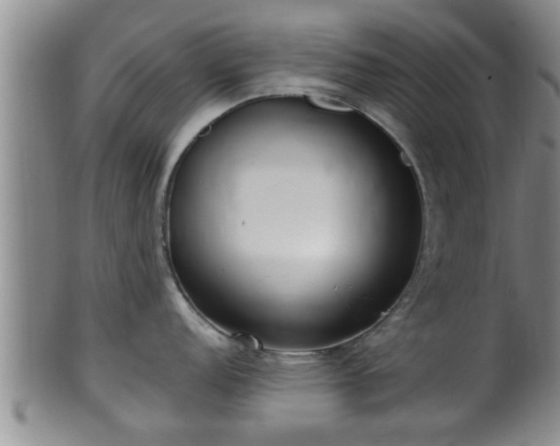 X0000100871152200806271107