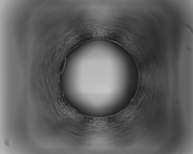 X0000100871153200806271106