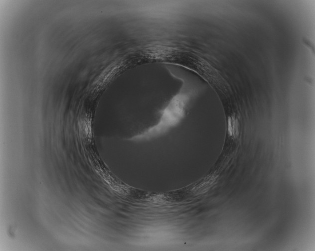 X0000100871155200806271106