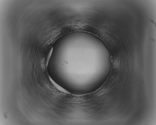 X0000100871156200806271106