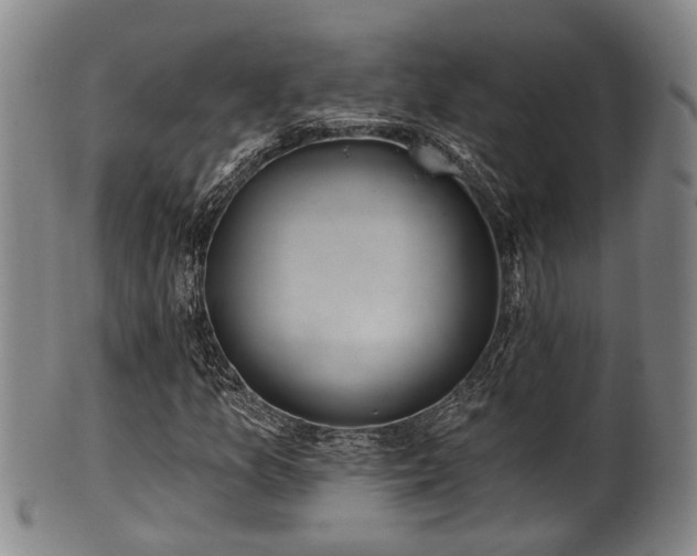 X0000100871157200806271106