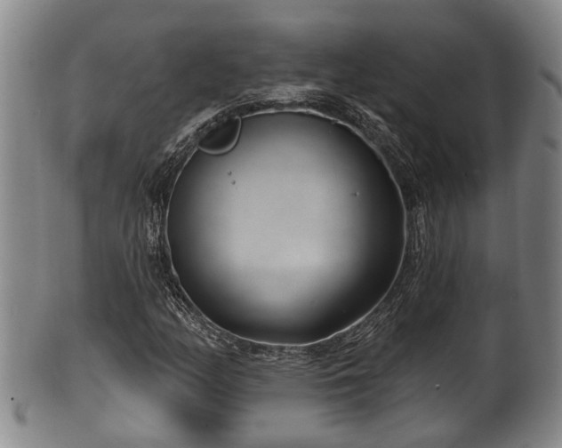 X0000100871158200806271106