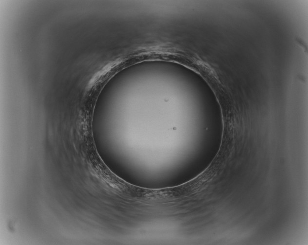 X0000100871159200806271106