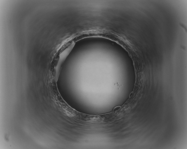 X0000100871160200806271106