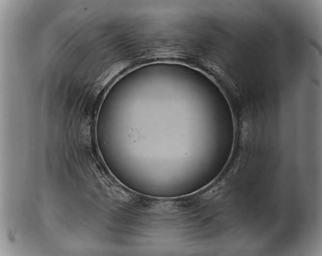 X0000100871162200806271106