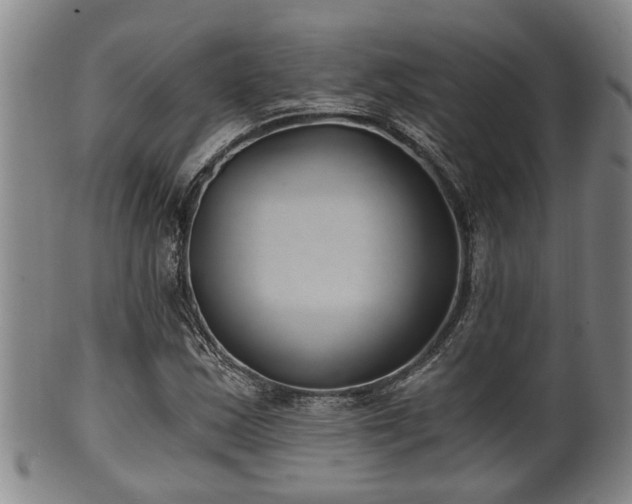 X0000100871163200806271106