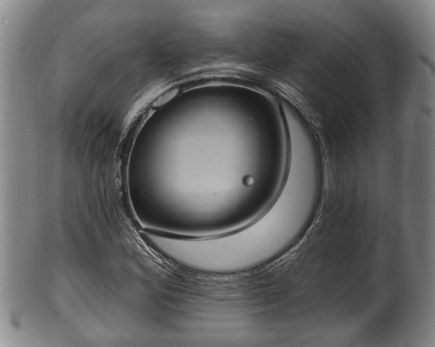 X0000100871164200806271106