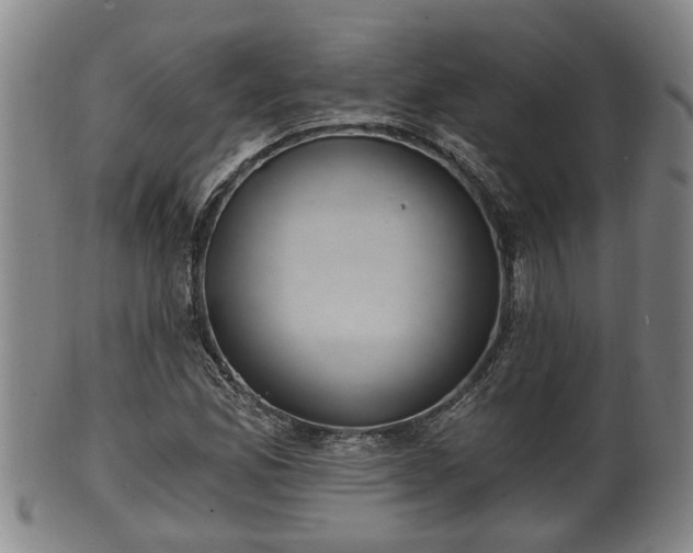 X0000100871165200806271106