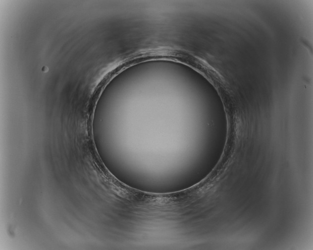 X0000100871166200806271106