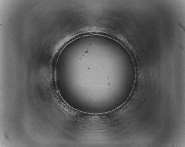 X0000100871167200806271106