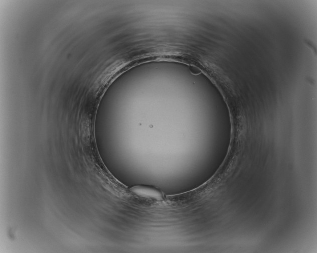 X0000100871169200806271106