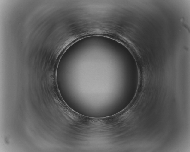 X0000100871170200806271106