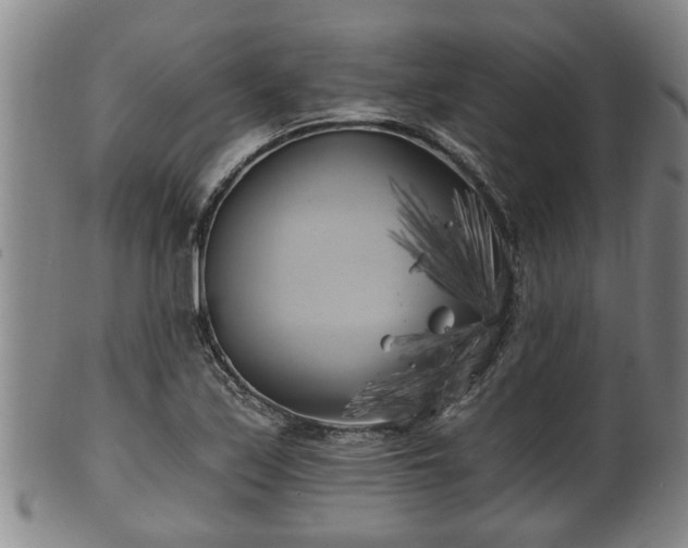 X0000100871171200806271106